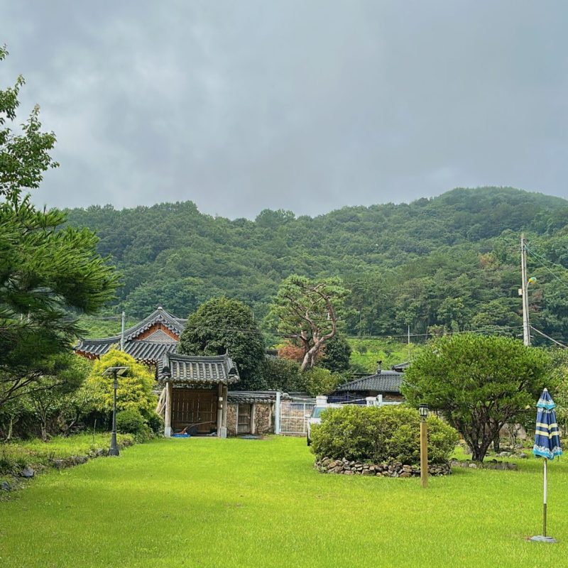 seoul mate renny