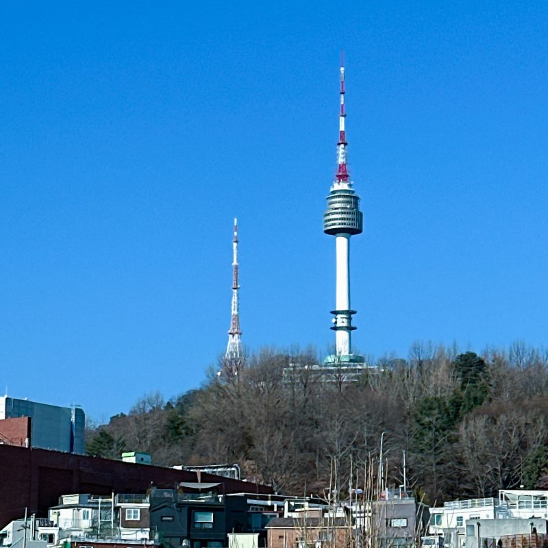 seoul mate renny