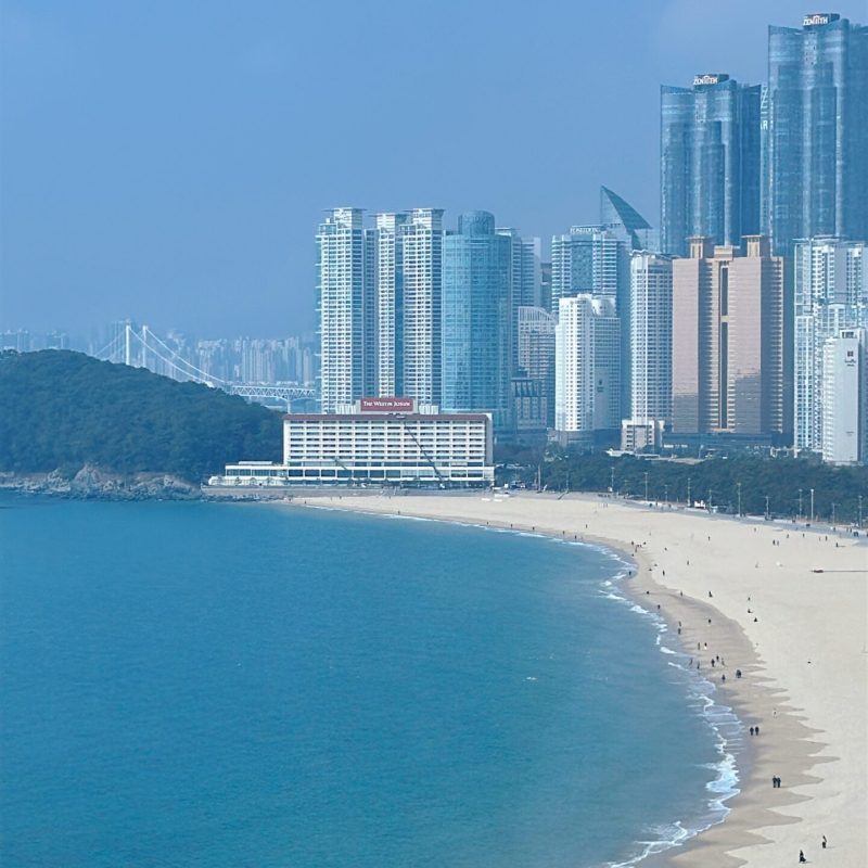 seoul mate renny