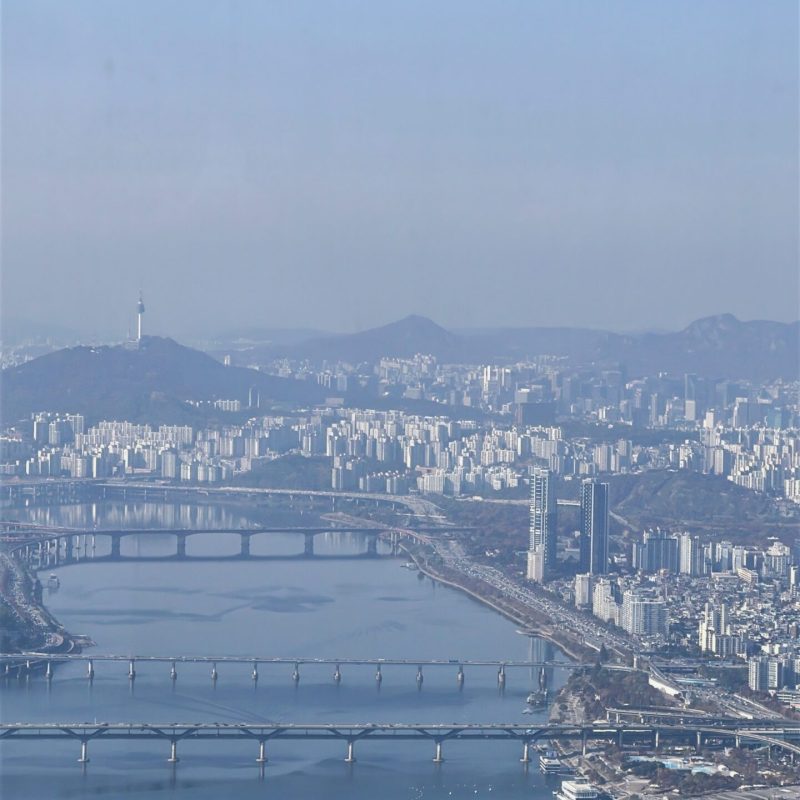 seoul mate renny
