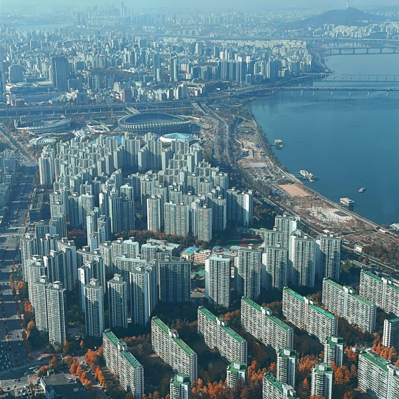 seoul mate renny