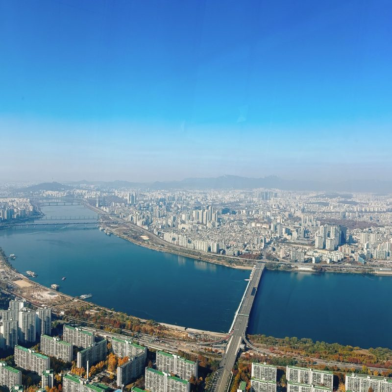 seoul mate renny