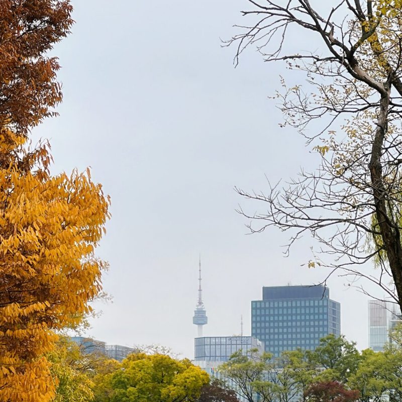 seoul mate renny