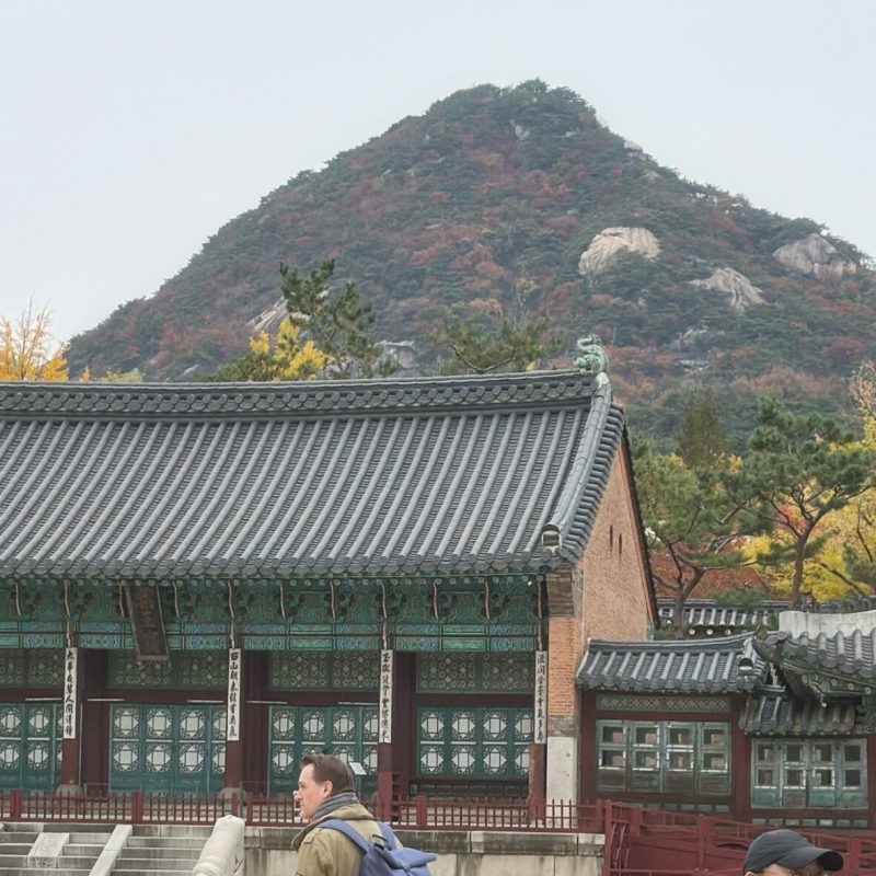 seoul mate renny