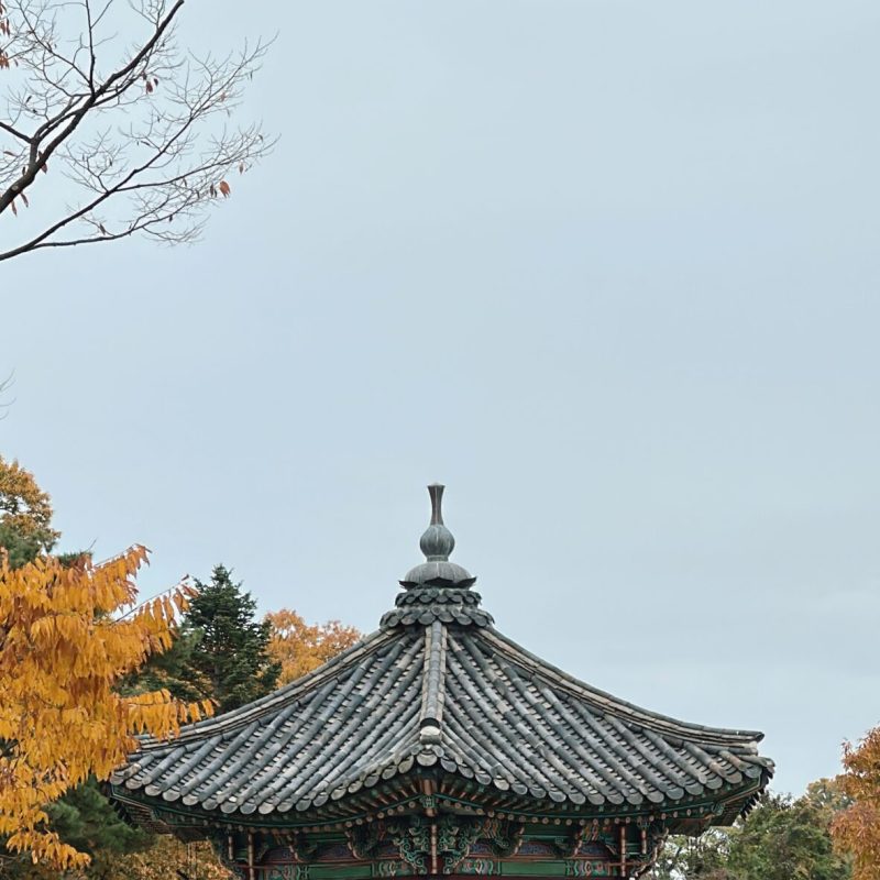 seoul mate renny