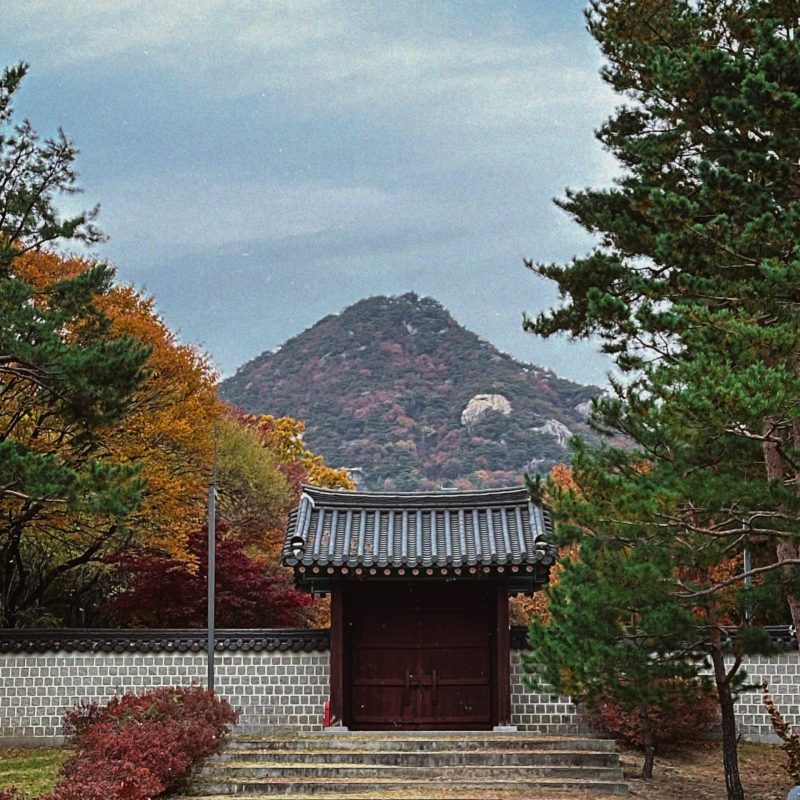 seoul mate renny