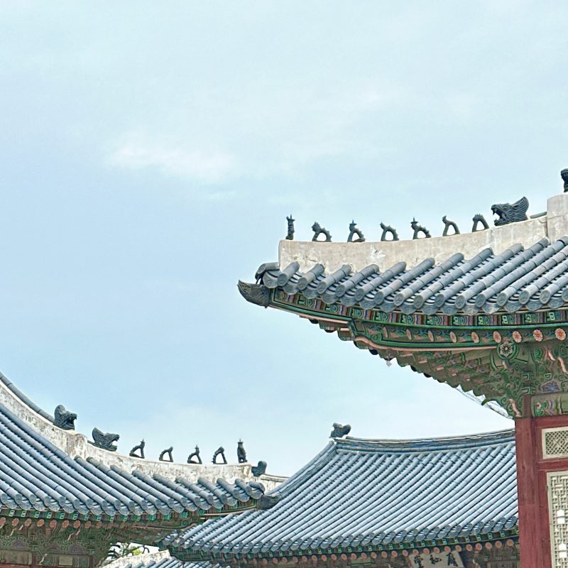 seoul mate renny