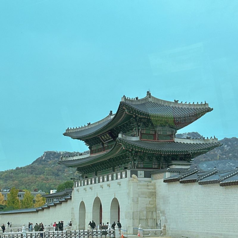 seoul mate renny
